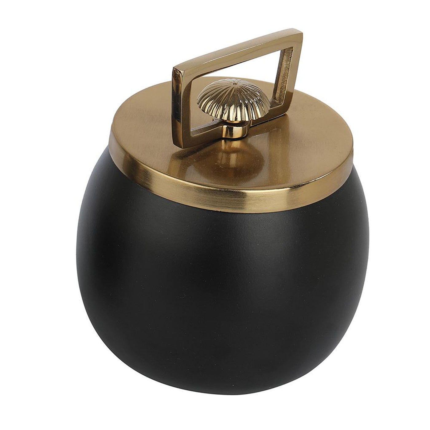 Darius Box in Black Large Size