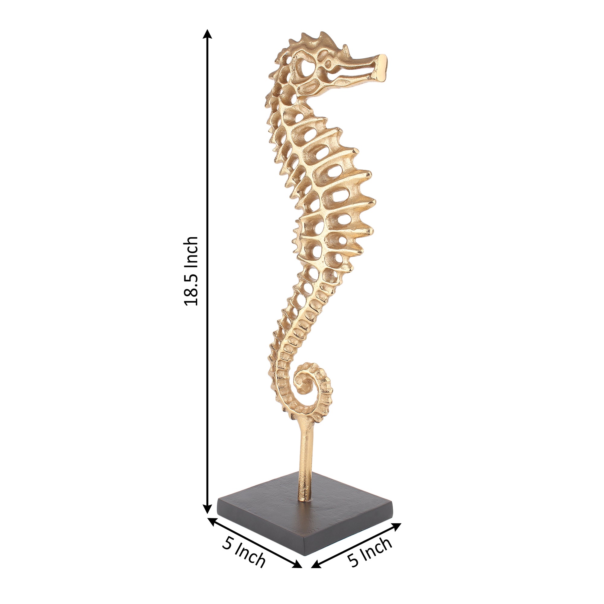 Regal Poseidon Seahorse