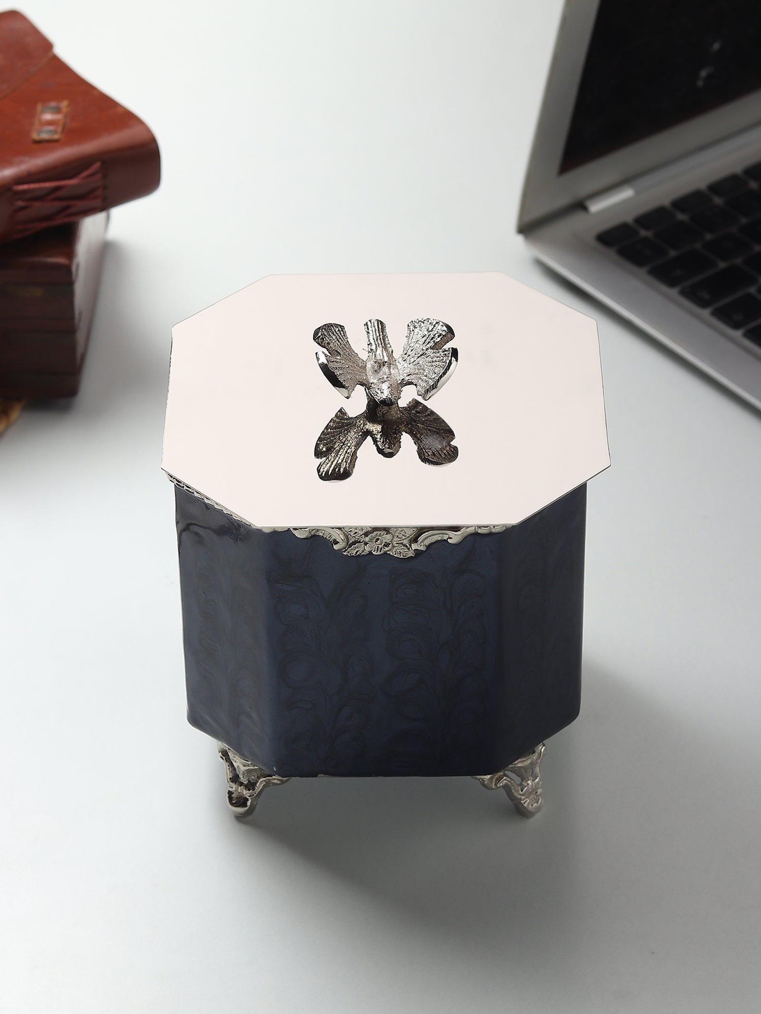 Dravelion Blue Pearl Large Storage Box