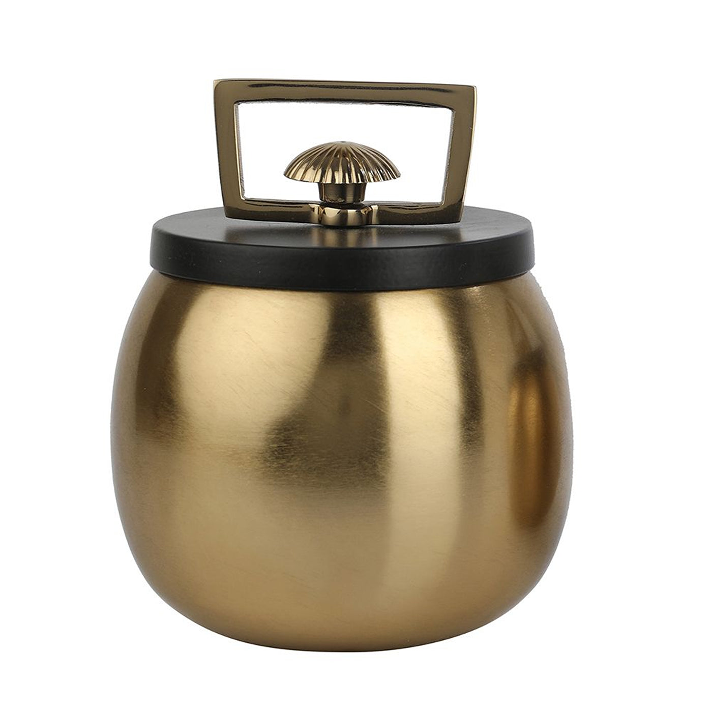 Darius Box in Gold Large Size