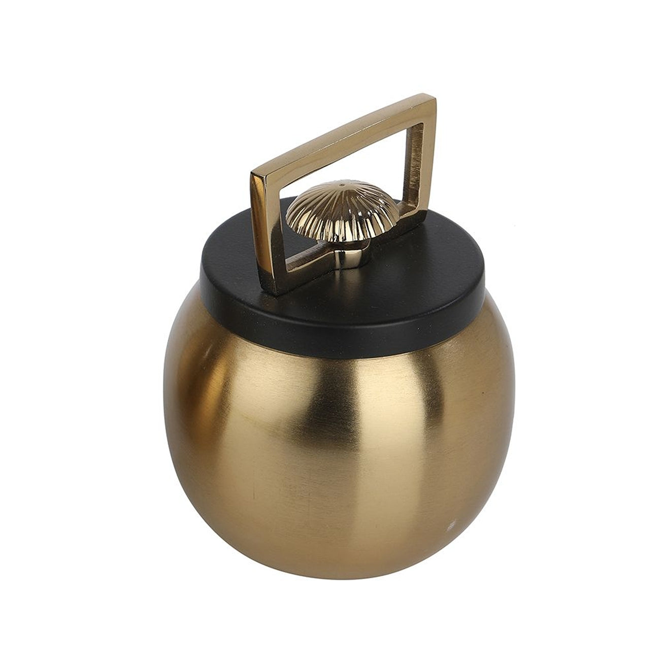 Darius Box in Gold Small Size