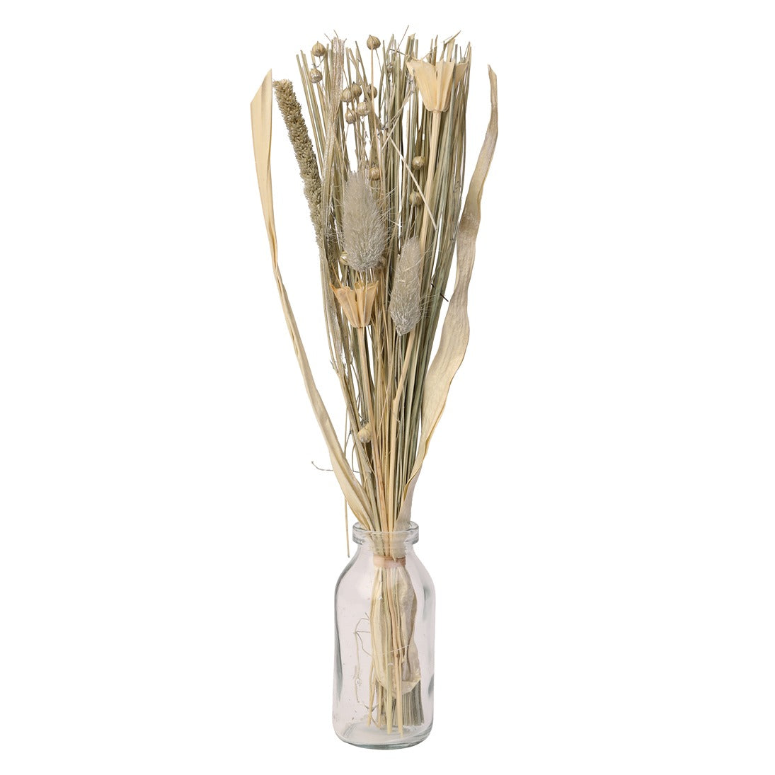 Liliana  Dried Floral Silver Haze  (small)
