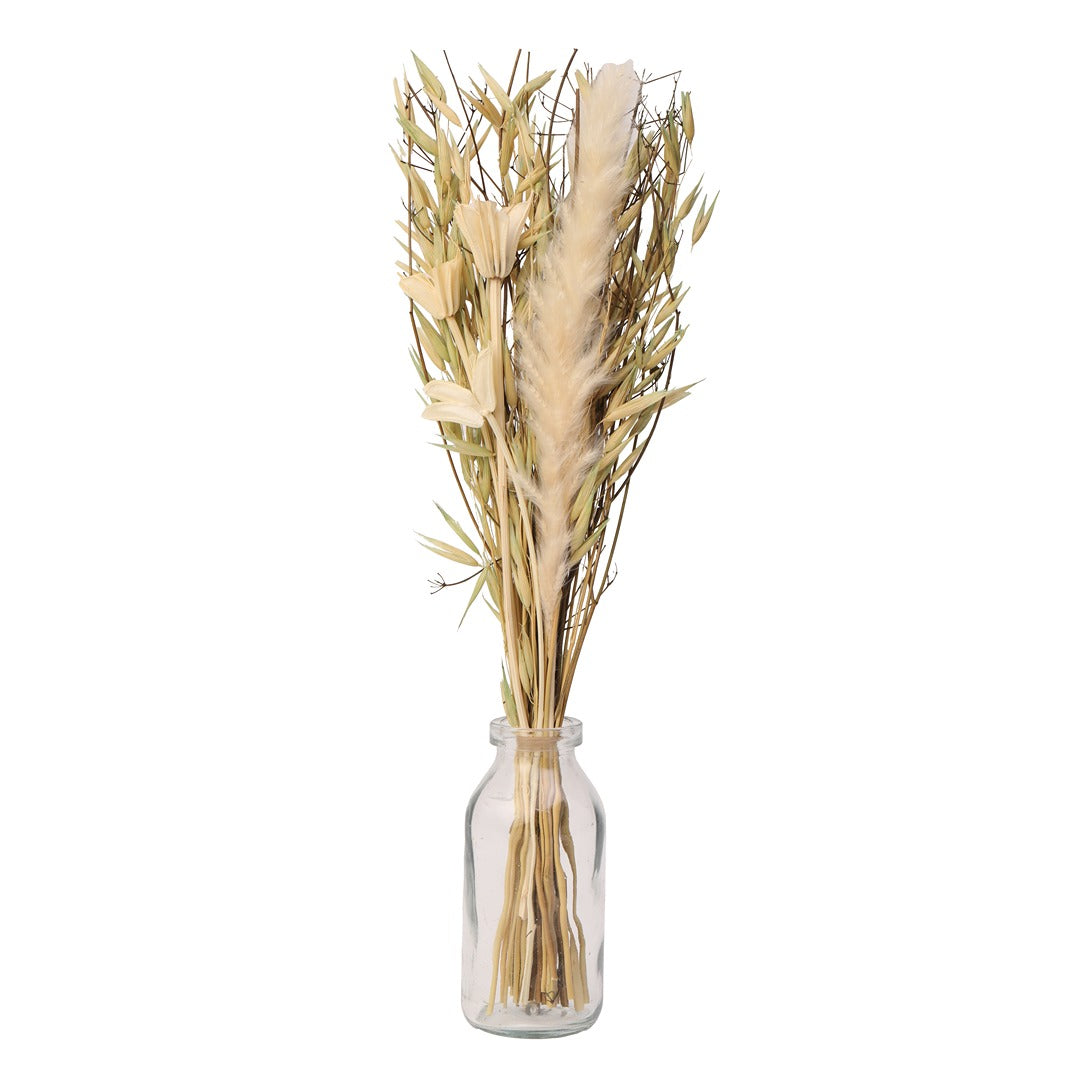 Liliana Dried Floral Bunny Tail (small)