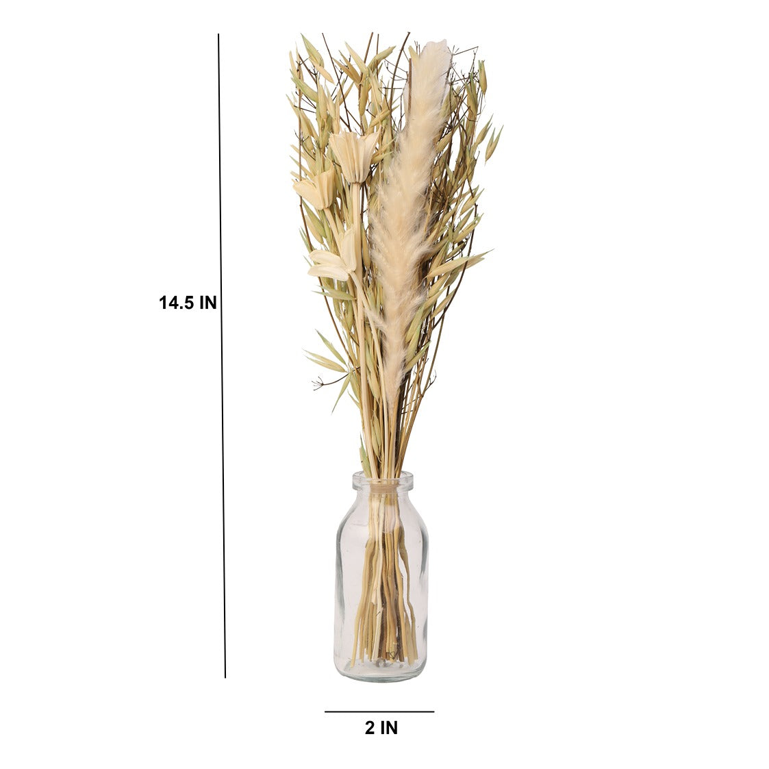 Liliana Dried Floral Bunny Tail (small)