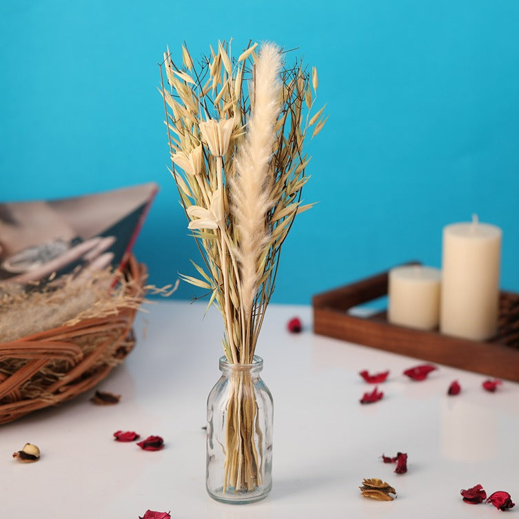 Liliana Dried Floral Bunny Tail (small)