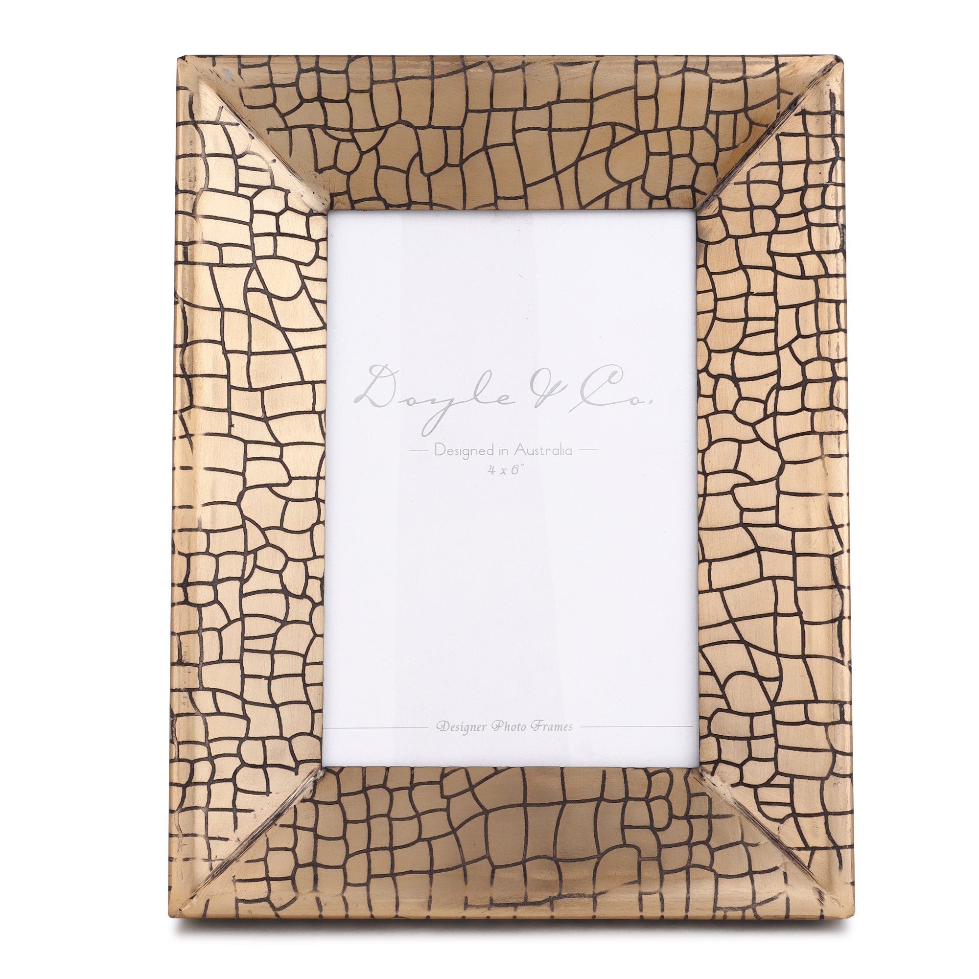 Aria Croc Small Frame