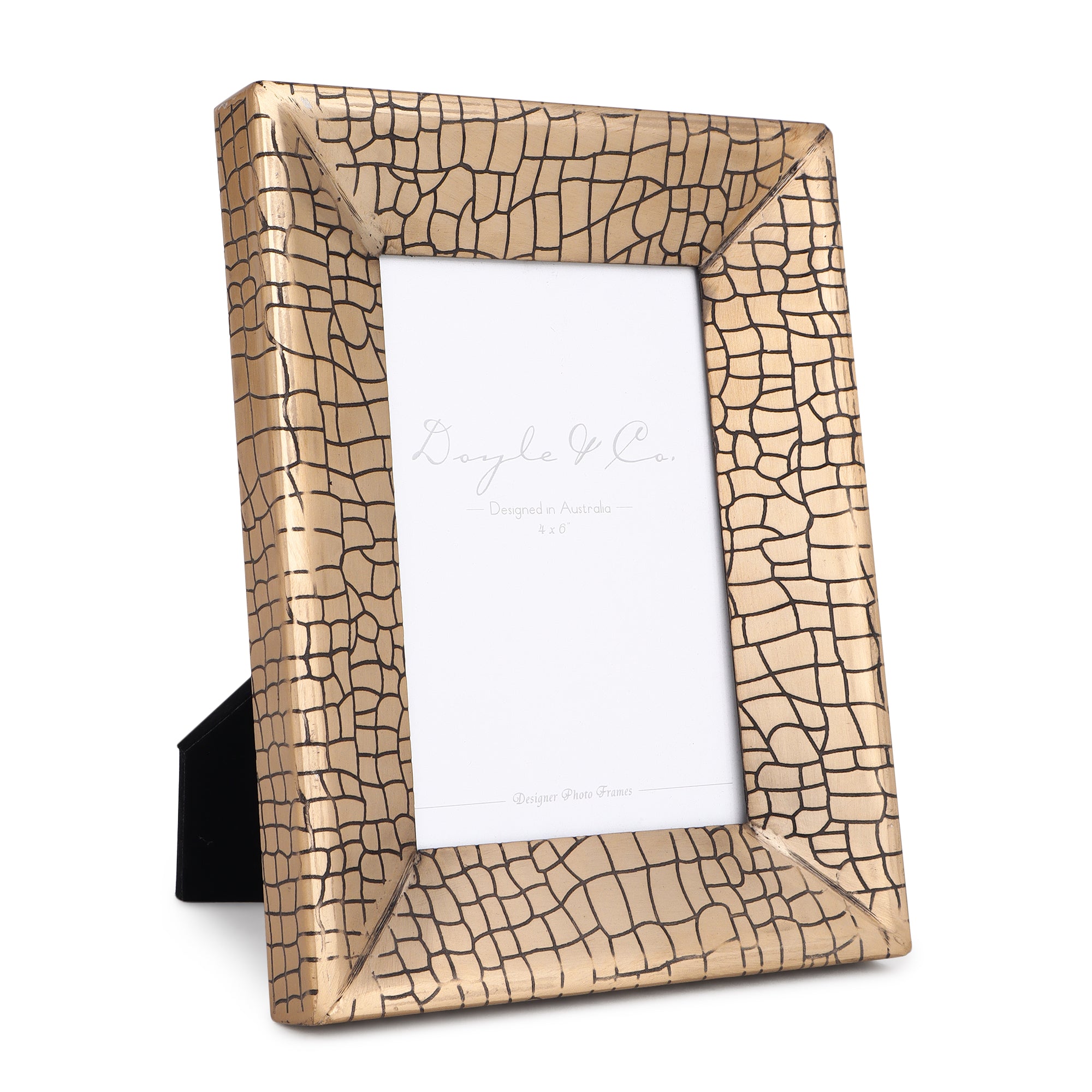 Aria Croc Small Frame