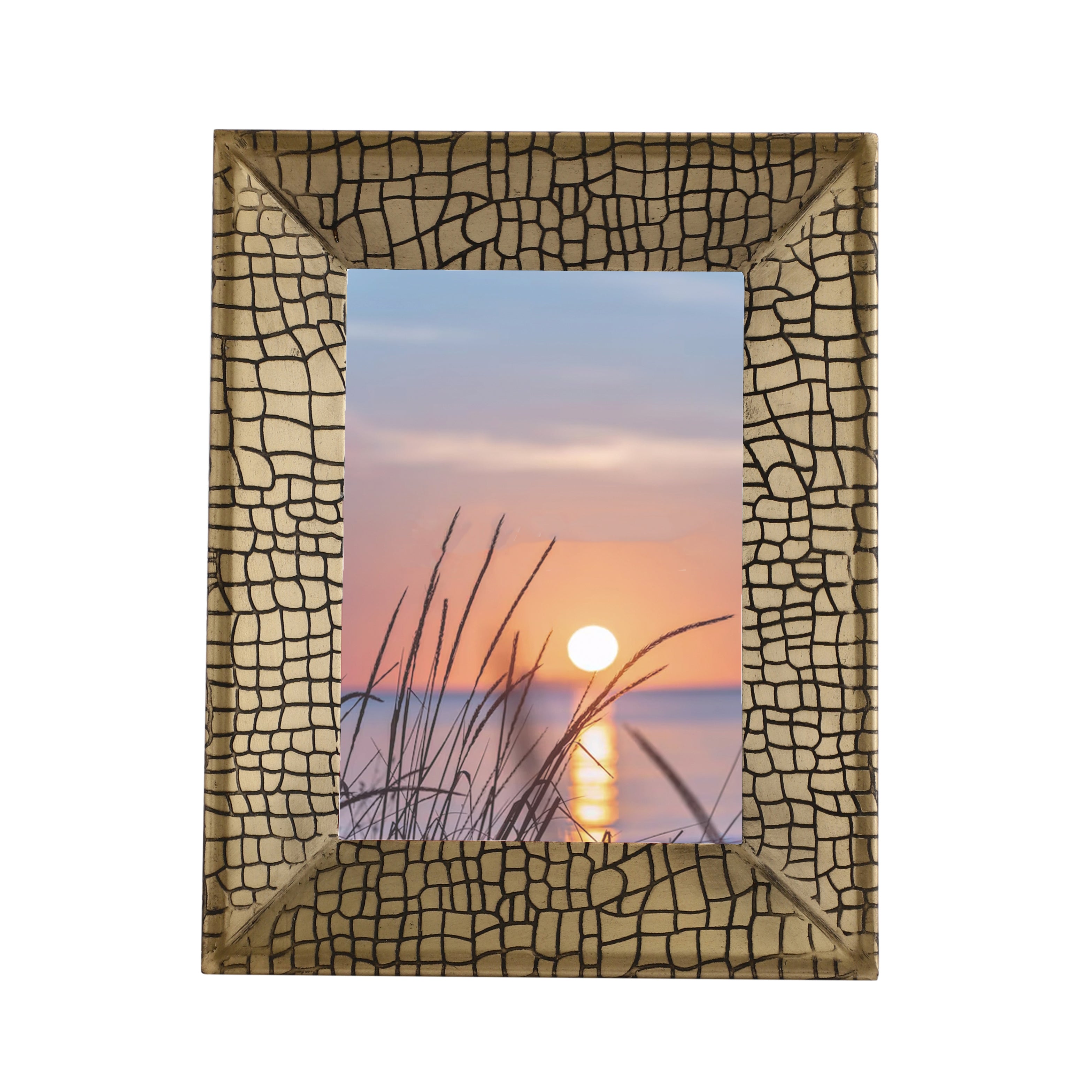 Aria Croc Large Frame