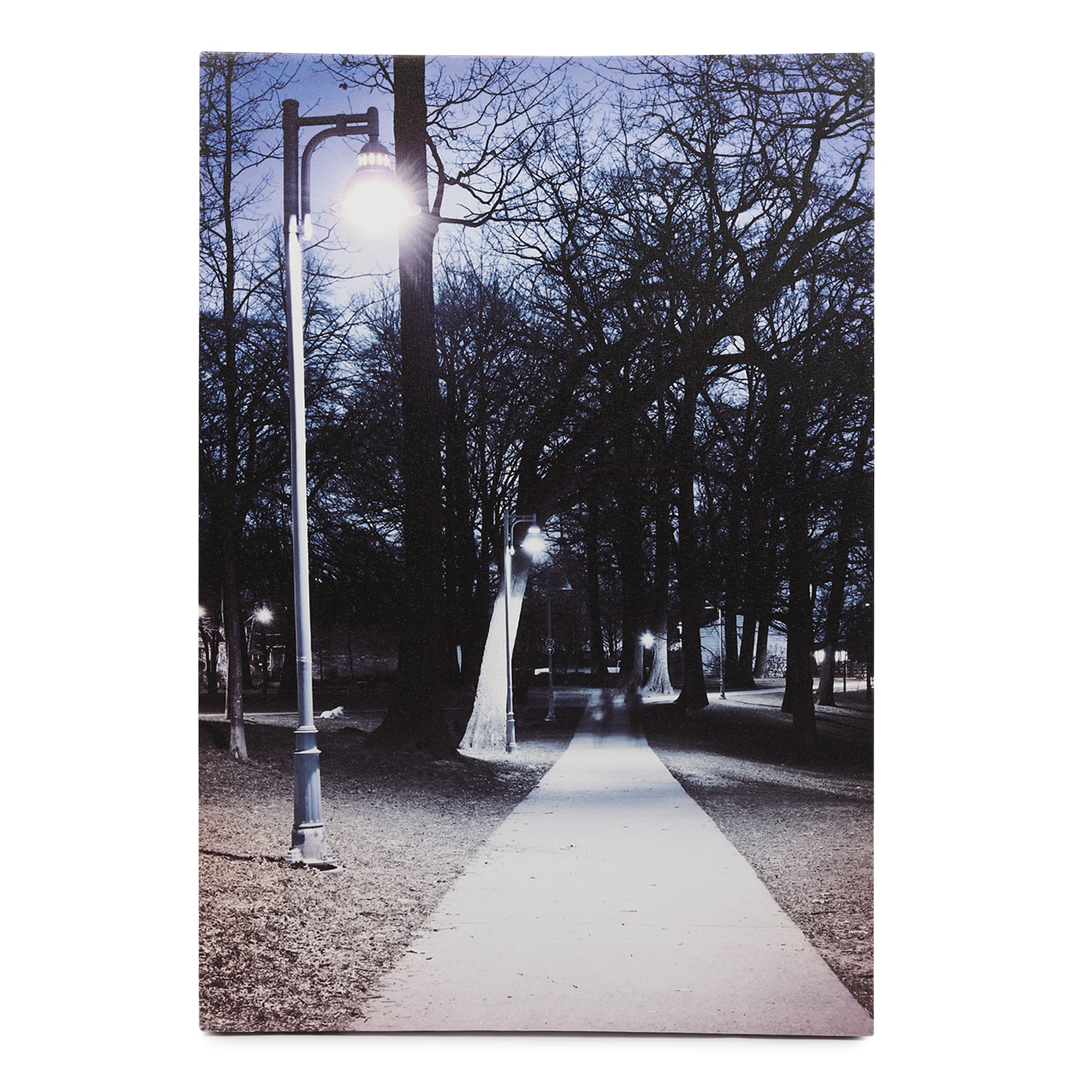 Path of Destiny – LED Illuminated Wall Art