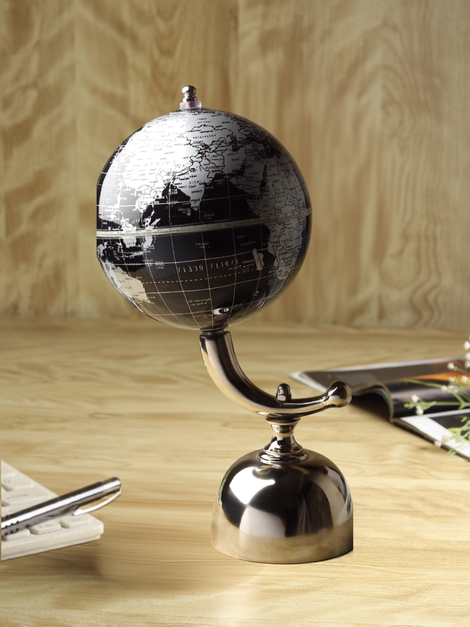 Noir Meridian Decorative Globe