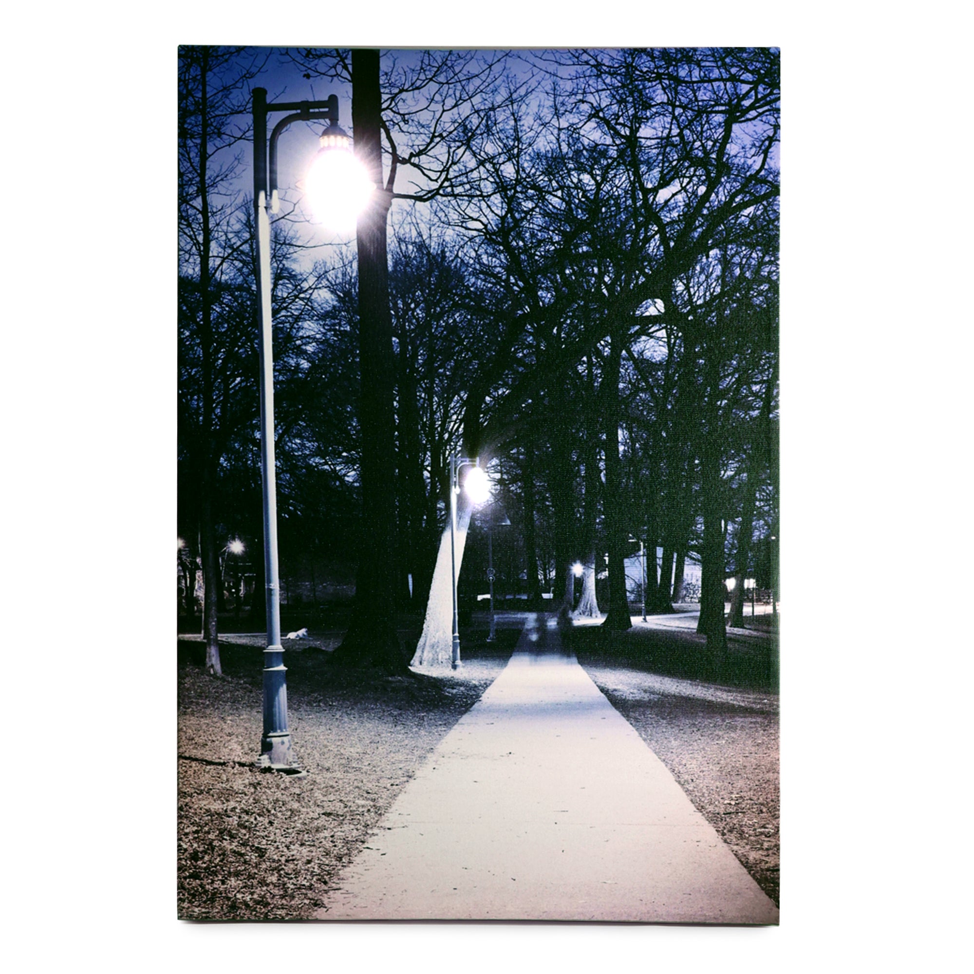 Path of Destiny – LED Illuminated Wall Art